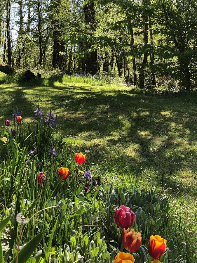 Mabelle Reve B&B Saint-Pierre-de-Cole Экстерьер фото